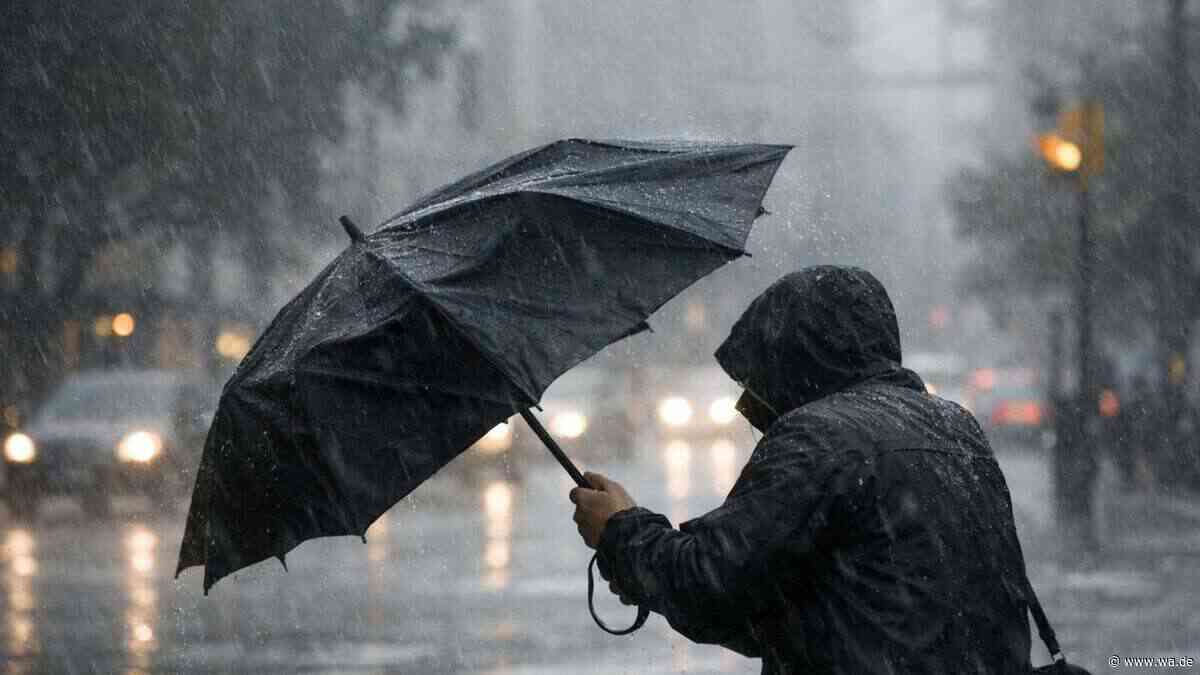 Regenschirme im Test: Ausgerechnet Traditionsmarke versagt
