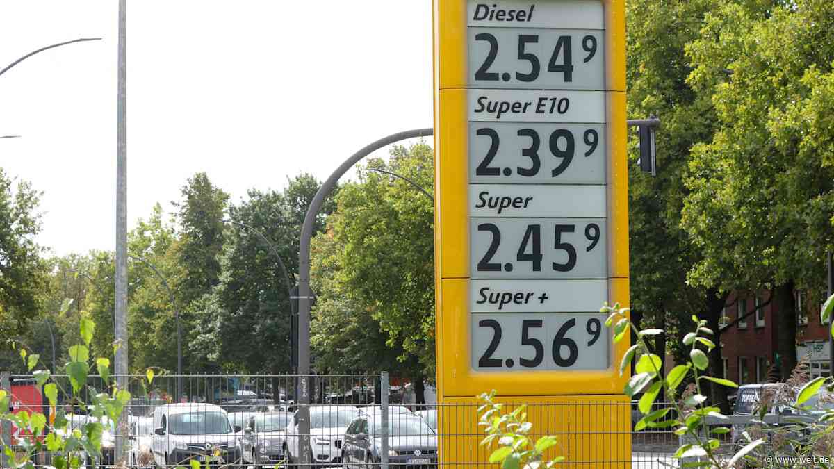 „Der wirtschaftliche Verlust ist enorm“