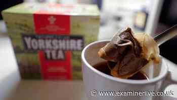 Yorkshire Tea introduces 8 new flavours and fans are so excited