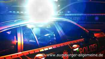 17-Jährige brechen in Kiosk ein und stehlen eine Flasche Schnaps