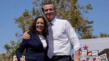 "Garantierte Vernichtung": Newsom würde wegen Harris auf Kandidatur verzichten