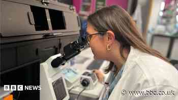 How a new microscope can help cure bowel disease
