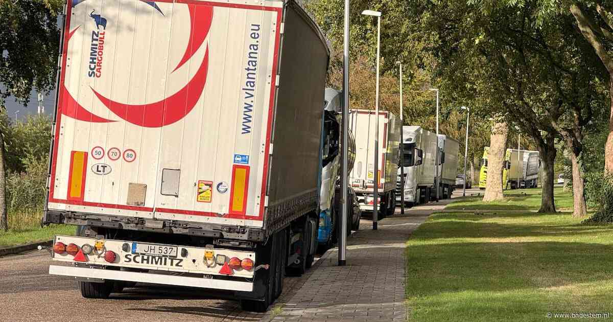 Het tekort aan truckparkeerplekken in Bergen op Zoom is groot: ‘Soms moet je wel een uur eerder stoppen’