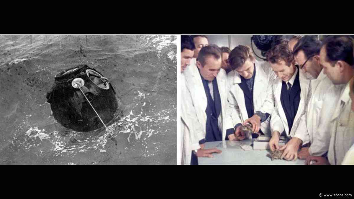 On this day in space! Sept. 15, 1968: Russian tortoises (& other critters) launch around the moon on Zond 5 spacecraft in wild first circumlunar flight