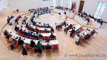 Brandenburg: Weiterer BSW-Abgeordneter verlässt Partei und Fraktion