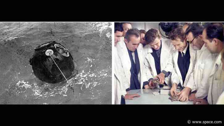 On this day in space! Sept. 15, 1968: Russian tortoises (& other critters) launch around the moon on Zond 5 spacecraft in wild first circumlunar flight