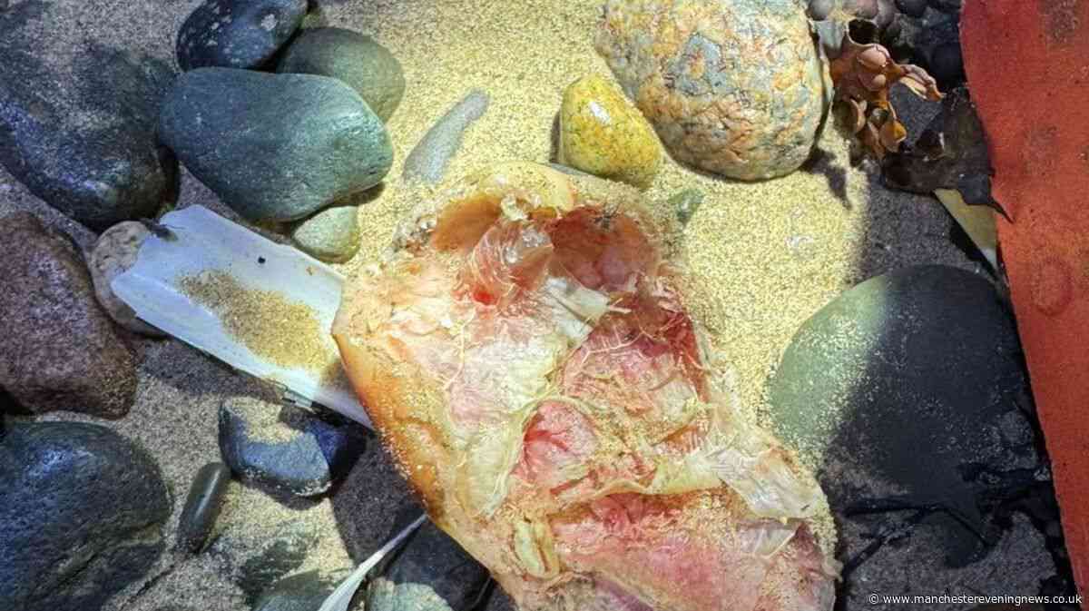 Coastguard solves mystery after reports of 'knee cap' washed up on North West family beach
