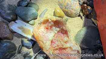 Coastguard solves mystery after reports of 'knee cap' washed up on North West family beach