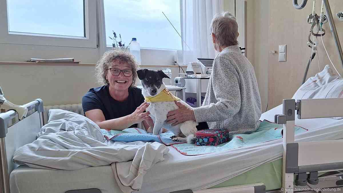 Seelentröster auf vier Pfoten: Mit Hund Paul auf der Helmstedter Palliativstation