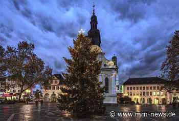 Frankenthal – Weihnachtsbaum für Rathausplatz gesucht