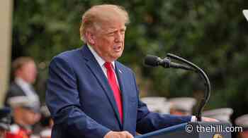 Trump approval ticks up from record low: Survey