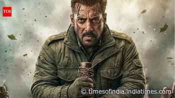 No relief for Salman's 'Maatrubhumi' from CBFC, the film is stuck due to its China connection
