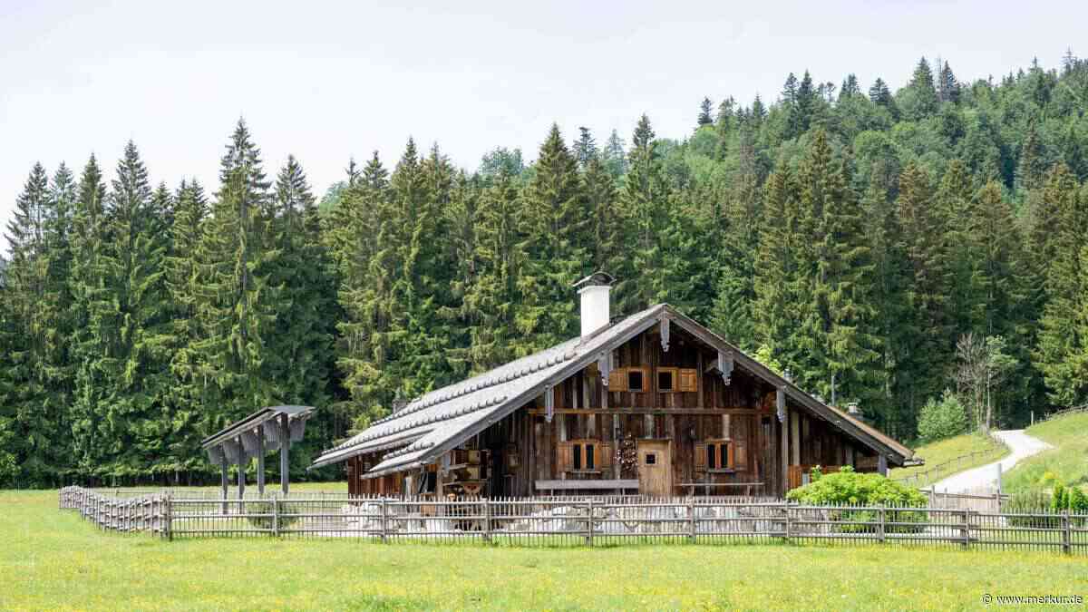 Saurüsselalm bleibt zu: Kein Pächter wegen Wassermangel
