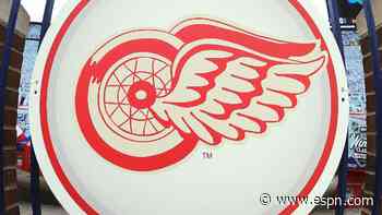 Red Wings promote Horcoff to interim GM