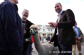 Prince of Wales strokes alpacas during visit to Dartmoor