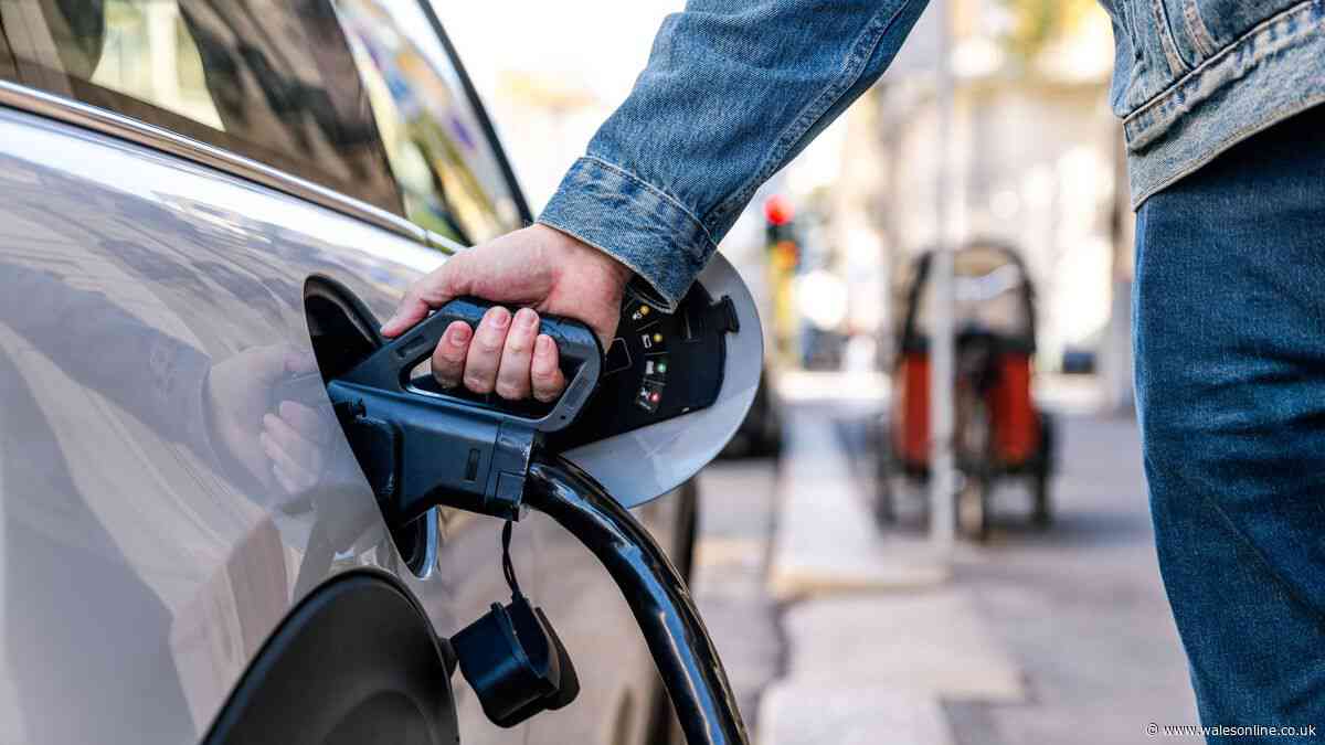 RAC names best small electric vehicle to buy in UK - it's not a BMW or Hyundai