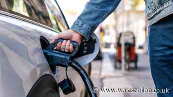 RAC names best small electric vehicle to buy in UK - it's not a BMW or Hyundai
