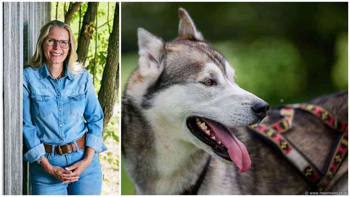 Lieb zu Menschen, tödlich für Katzen: Bernauer Hundetrainerin gibt Einblicke zum Husky-Mischling