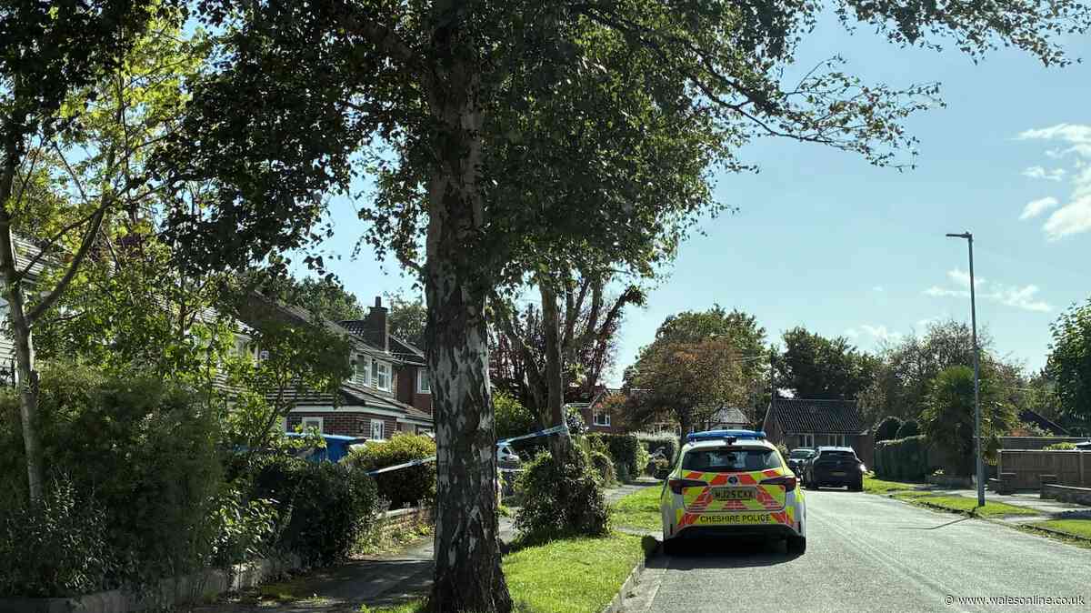 Police 'not looking for anyone else' after man and woman in their 70s found dead