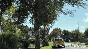 Man, 78, and woman, 79, found dead at home in Wilmslow as police investigate