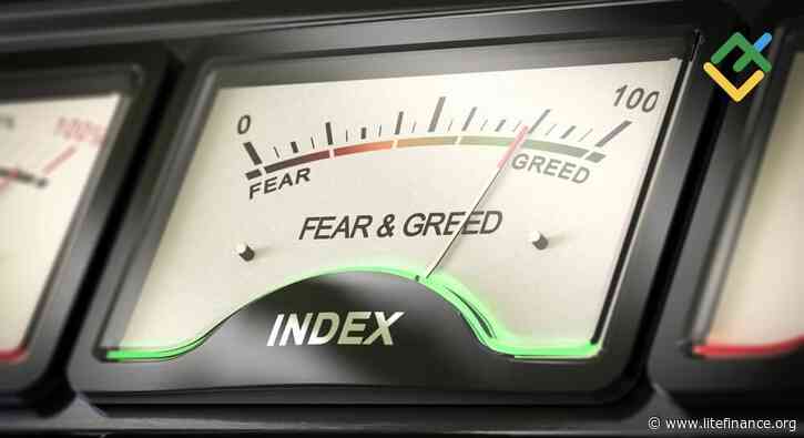 What Is the Crypto Fear and Greed Index?