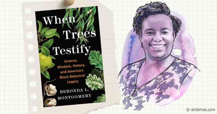 ‘When Trees Testify’: A Q&A with writer Beronda L. Montgomery ahead of Six Bridges Book Festival