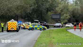 Two dead after car hits group of pedestrians
