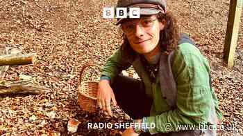 Which mushrooms can you forage in South Yorkshire?