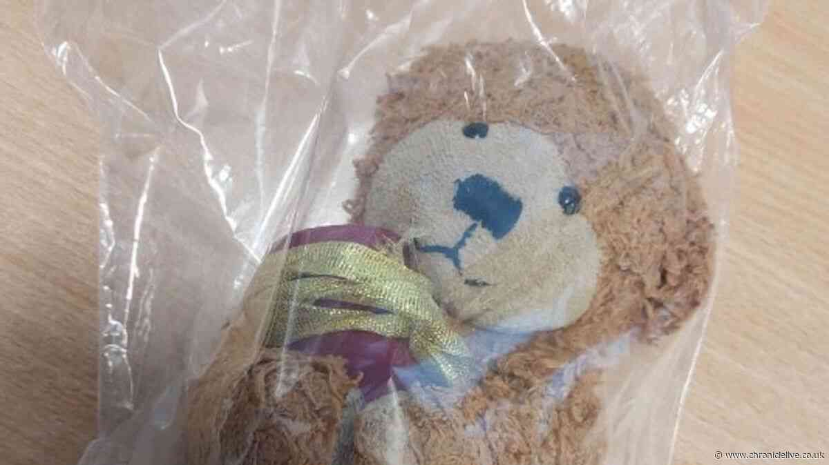 Tiny urn on train with dog's ashes to be reunited with owner after appeal