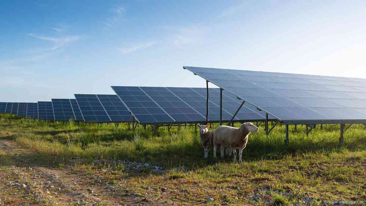 Insolvenz von Hamburger Solar-Pionier Enerparc: Gläubiger fordern riesige Summe