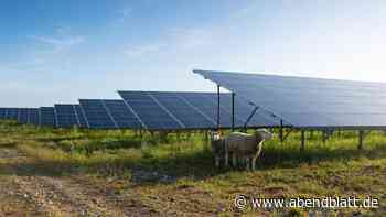 Insolvenz von Hamburger Solar-Pionier Enerparc: Gläubiger fordern riesige Summe