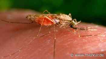 Nach Todesfällen bei Airport-Mitarbeitern: Zwei neue Malaria-Fälle in Frankfurt