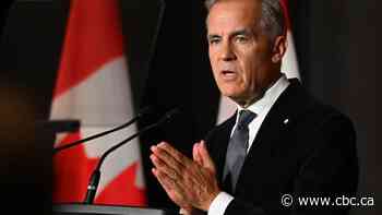 Calgary man accused of threatening to kill Prime Minister Mark Carney