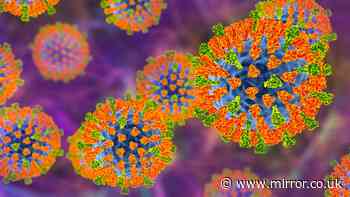 UK's virus experts address concerns AI can create disease to wipe out humanity