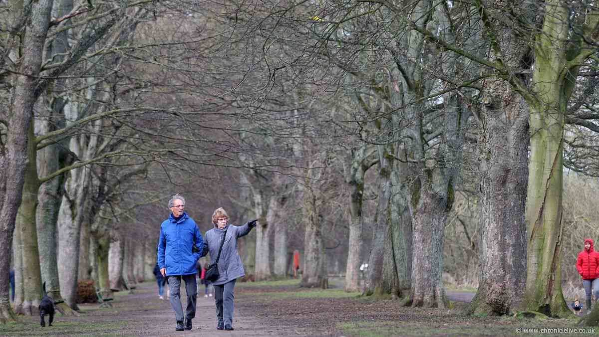 Residents slam police and council after campers spent 34 days causing chaos at public park