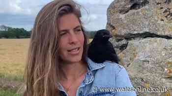 Clarkson's Farm's Hannah Bourne-Taylor leaves fans in disbelief with real age