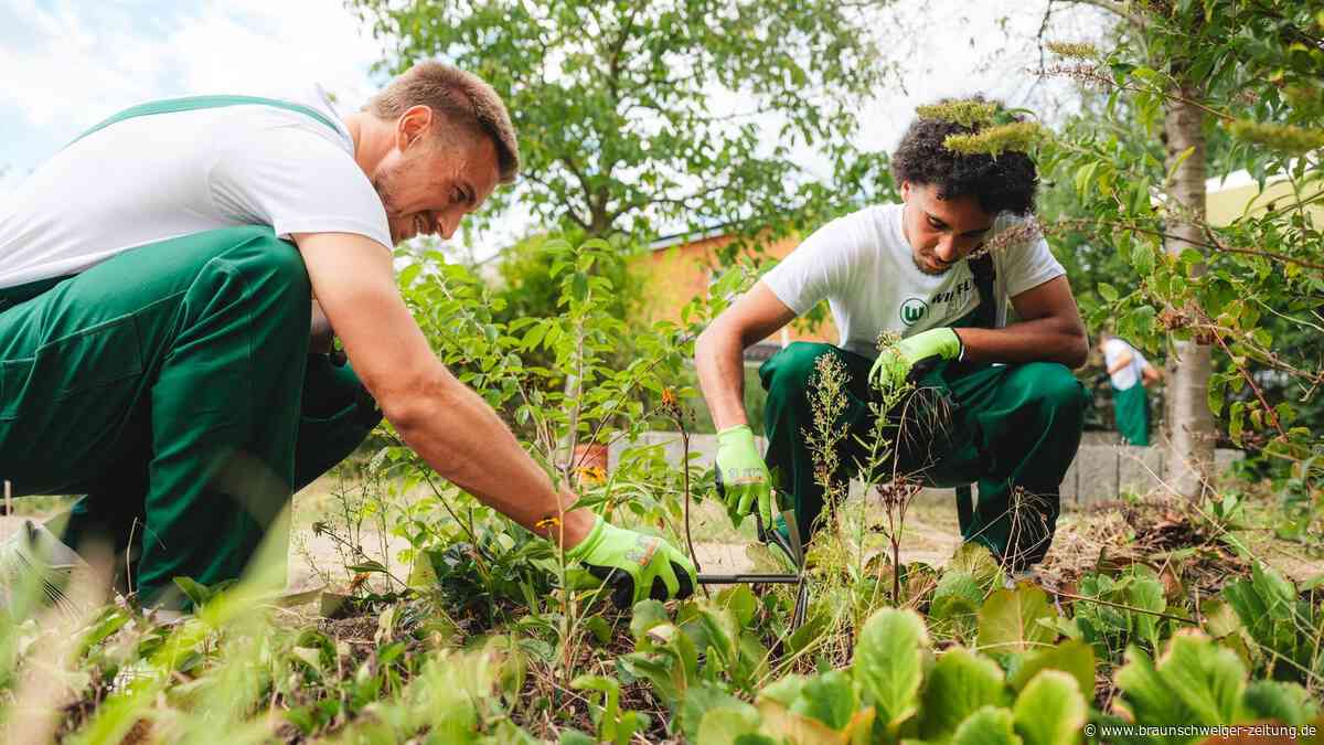 Schubkarre und Pinsel statt Fußball: Der etwas andere Arbeitstag der VfL-Profis