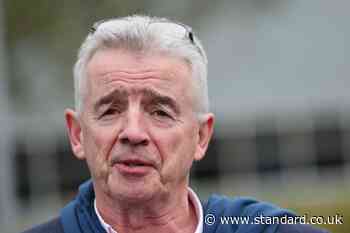 Michael O’Leary comments ‘had impact on victims’, minister says