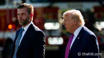 Russian businessman paid for Trump Jr. wedding after-party: 5 things to know
