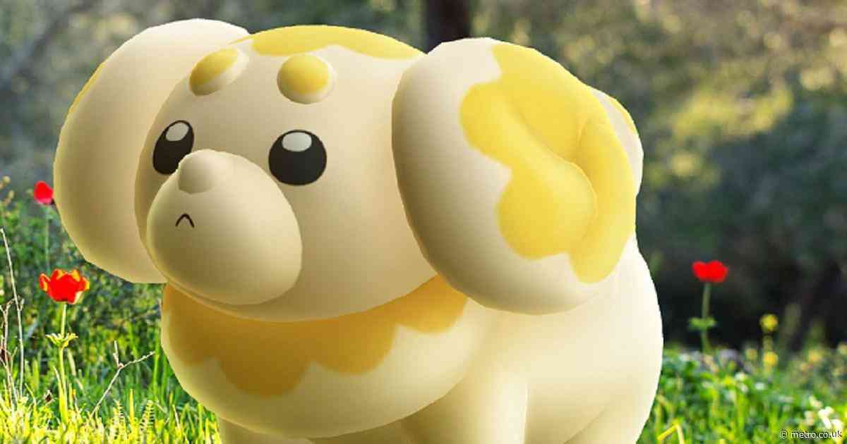 Pokémon traders are allegedly offering puppies in exchange for valuable cards