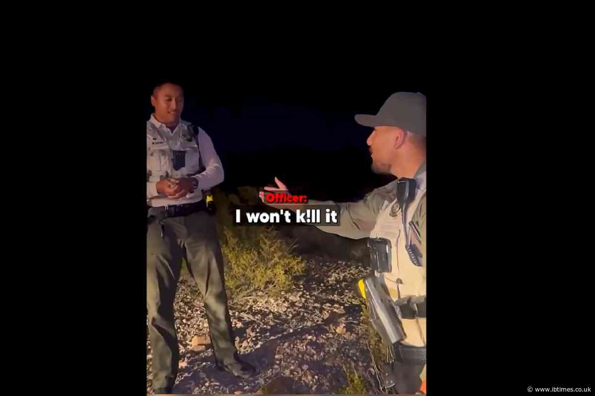 Video of US Officer Killing Baby Rabbit Resurfaces – Sheriff Fires 4, Including Deputy Who Tried to Save It
