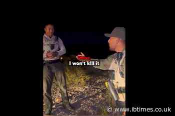 Video of US Officer Killing Baby Rabbit Resurfaces – Sheriff Fires 4, Including Deputy Who Tried to Save It