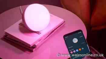 Table lamp 'gives lovely glow working into evenings' and is 'unbelievable for price'
