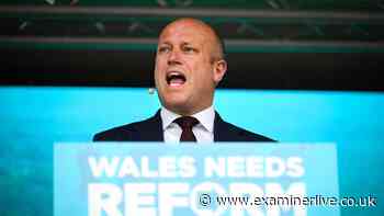 Reform leader in Wales steps down after arrest for 'personal reasons'