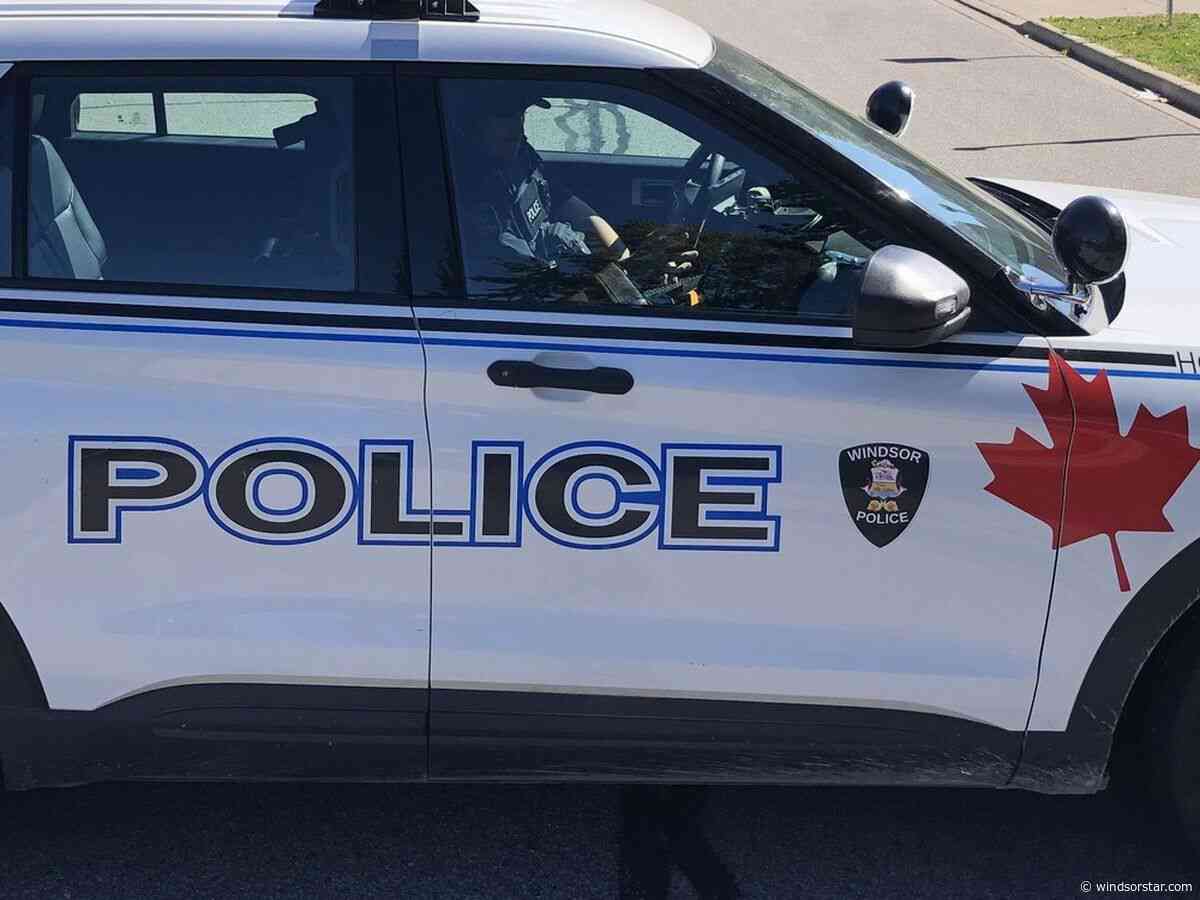 Bear spray, BB gun seized as Windsor police arrest 8, including 5 youths