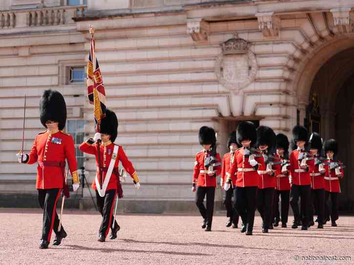Why Canadian sourced bearskin caps worn by Buckingham Palace guards could be replaced with faux fur