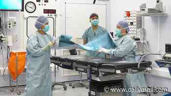 Shortage of cadavers is a 'serious problem' for medical students