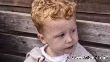 Police launch urgent search for three-year-old boy who went missing after visiting playground