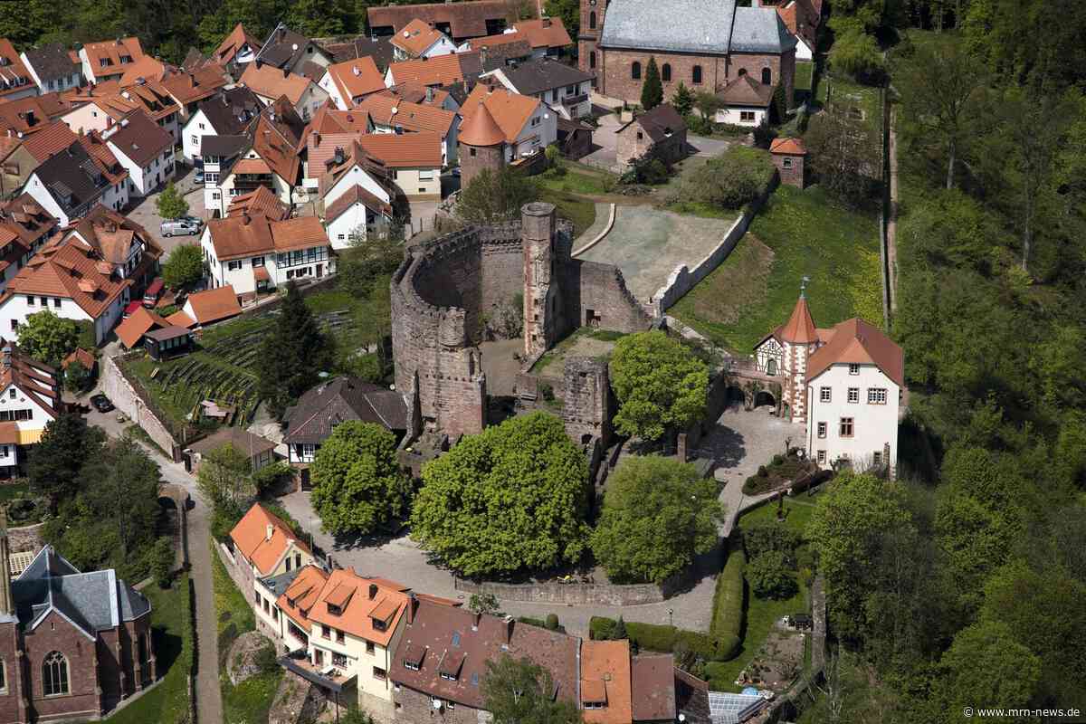 Burgfeste Dilsberg Bevor die Fledermäuse einziehen: Brunnenstollen kann noch bis Ende September entdeckt werden