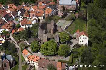 Burgfeste Dilsberg Bevor die Fledermäuse einziehen: Brunnenstollen kann noch bis Ende September entdeckt werden